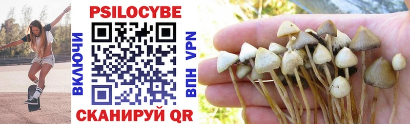 как найти наркотики  Кола  Галлюциногенные грибы MAGIC MUSHROOMS 